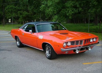 cuda-6[1].jpg